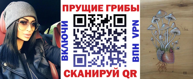 где найти наркотики  Спасск-Рязанский  Галлюциногенные грибы Magic Shrooms 